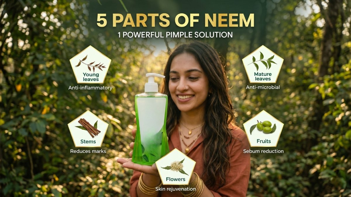 Himalaya Purifying Neem Face Wash Review